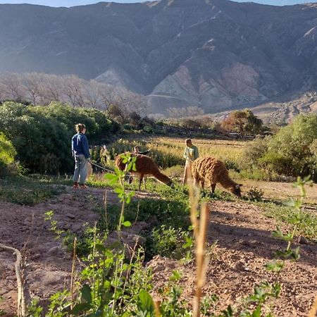 Dormir Con Llamas Маймара Екстер'єр фото