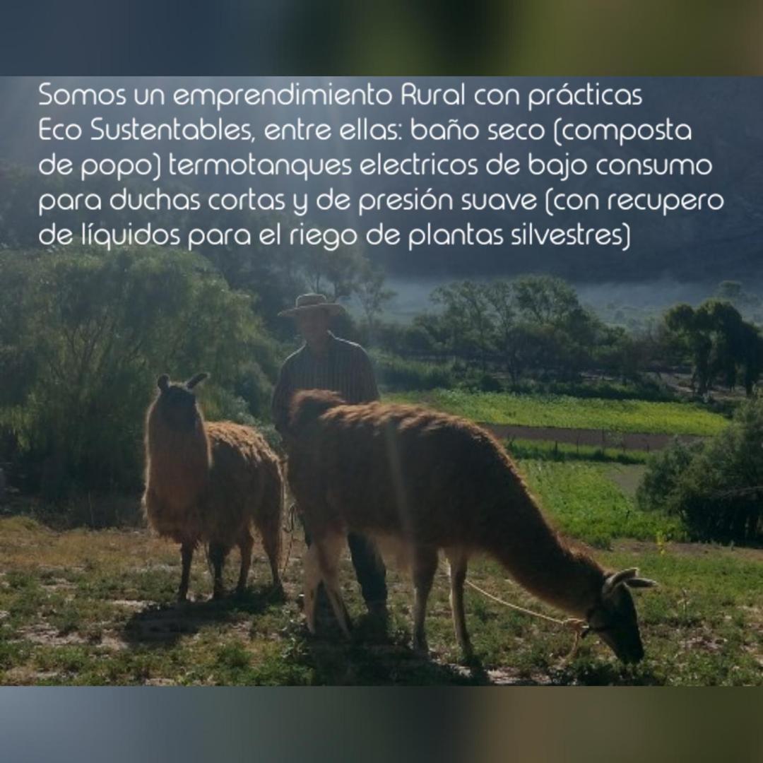 Dormir Con Llamas Маймара Екстер'єр фото